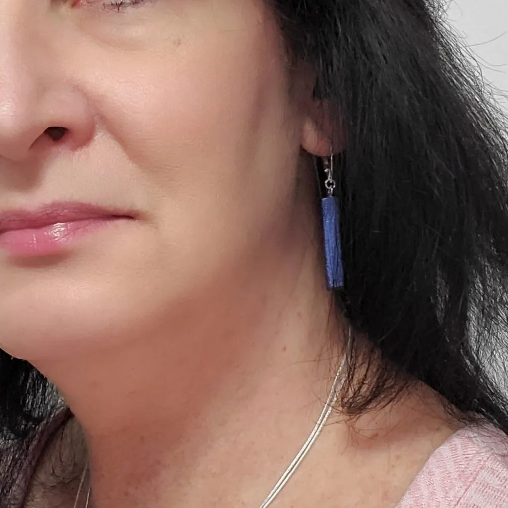 Bar Dangle Earrings - Black
