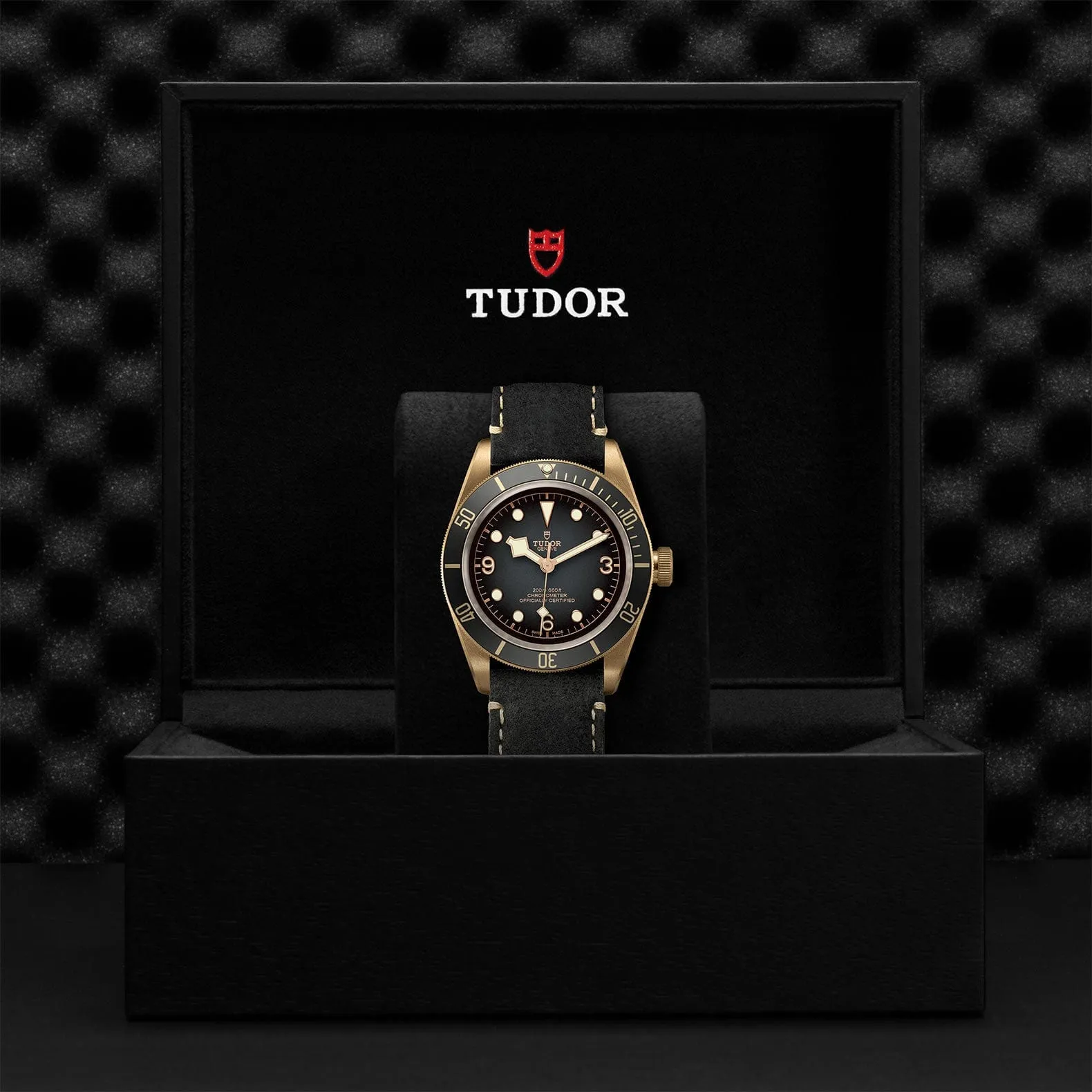 M79250BA-0001 Tudor 43mm Black Bay Bronze with a Unidirectional Rotatable Bronze Bezel, Slate Dial And Dark Grey Leather Strap.