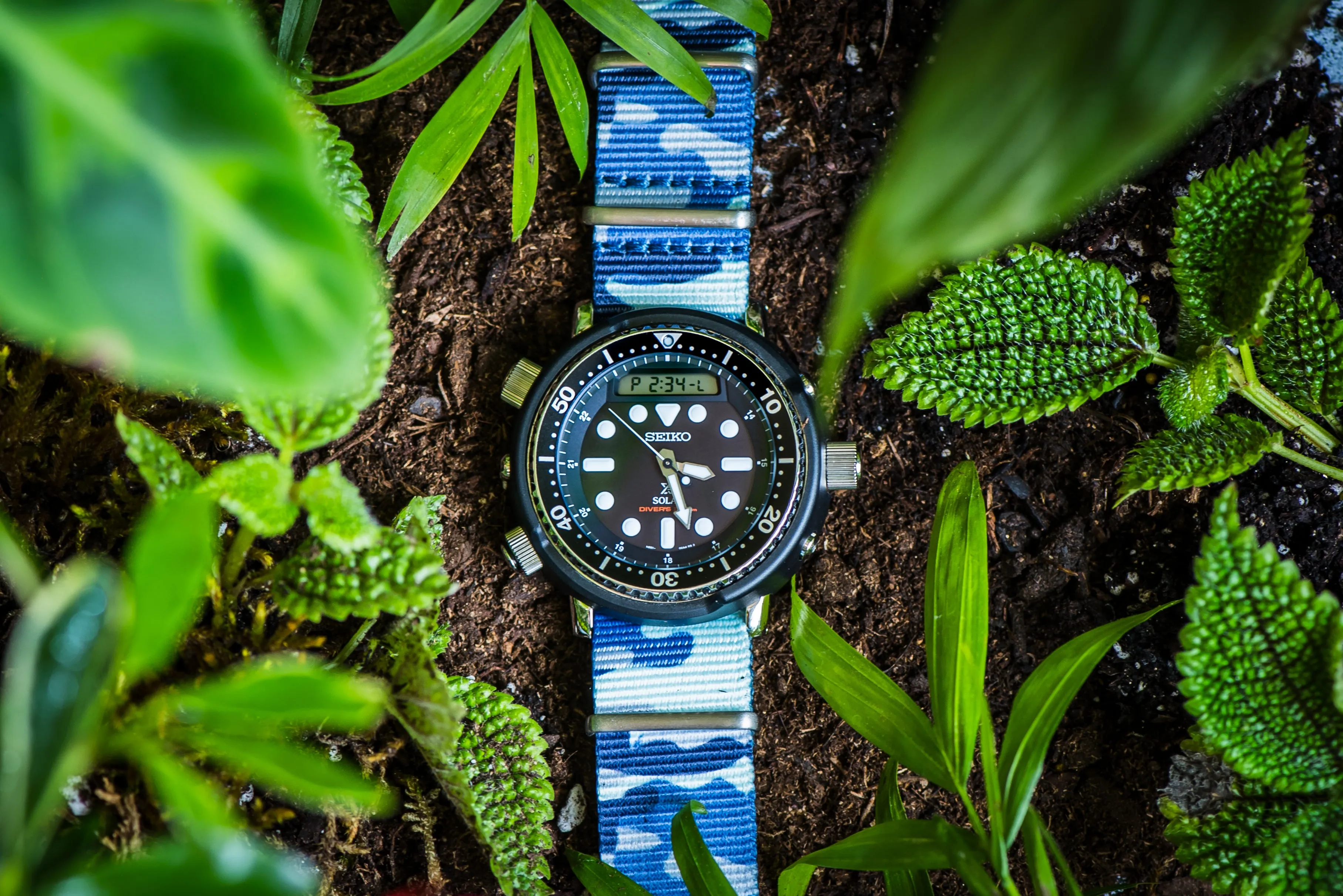 Original - Camo BluShark