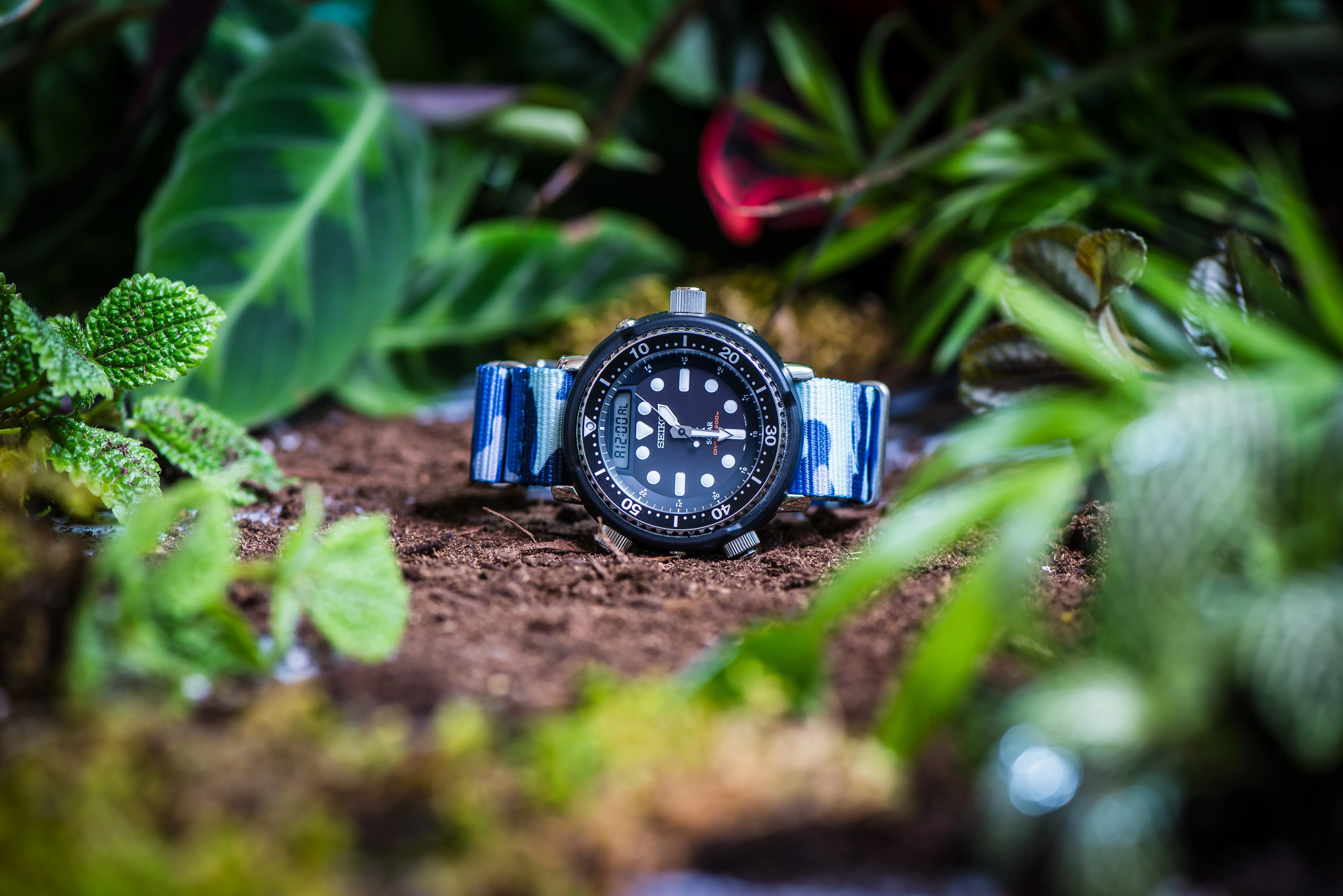 Original - Camo BluShark