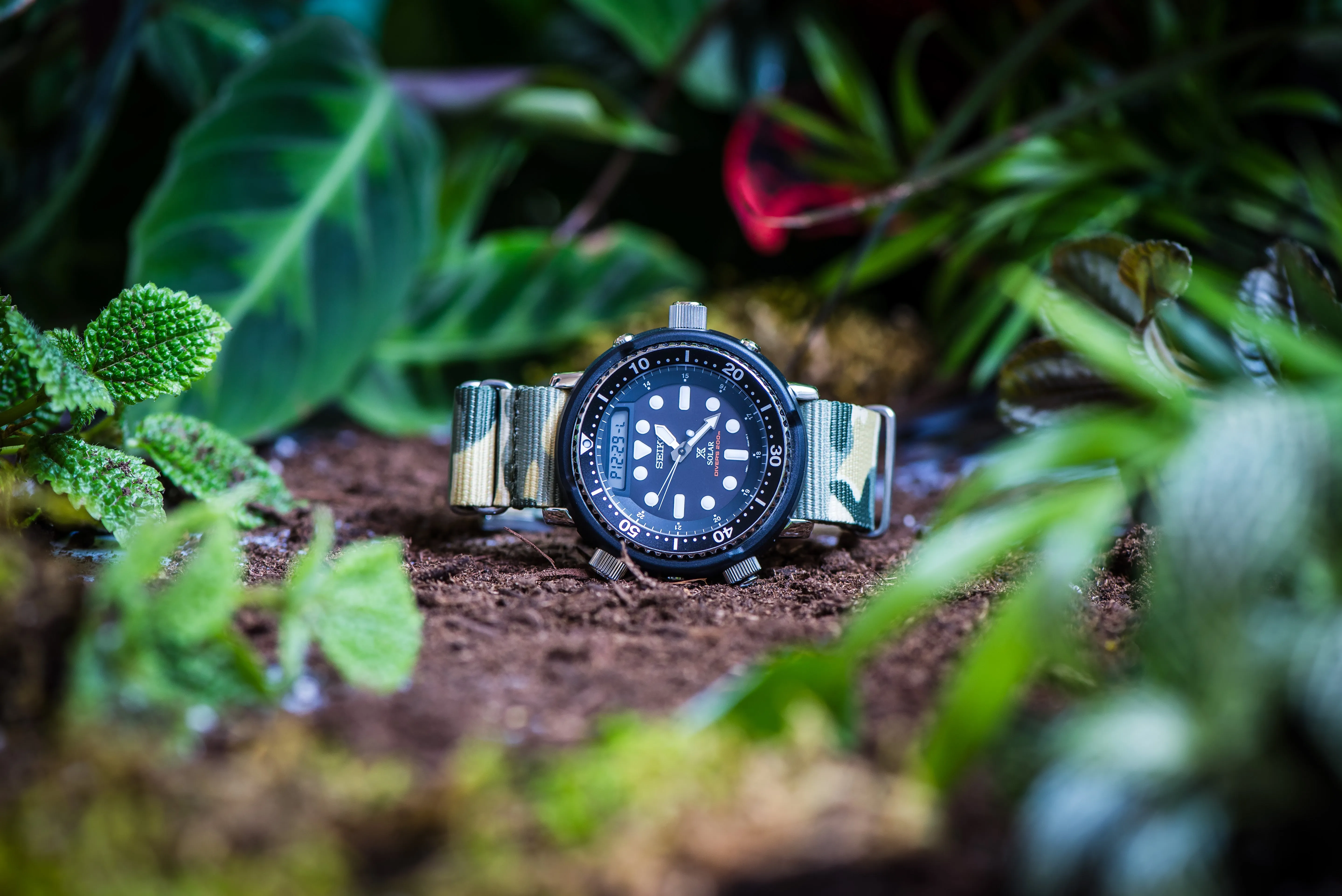 Original - Camo Grassland