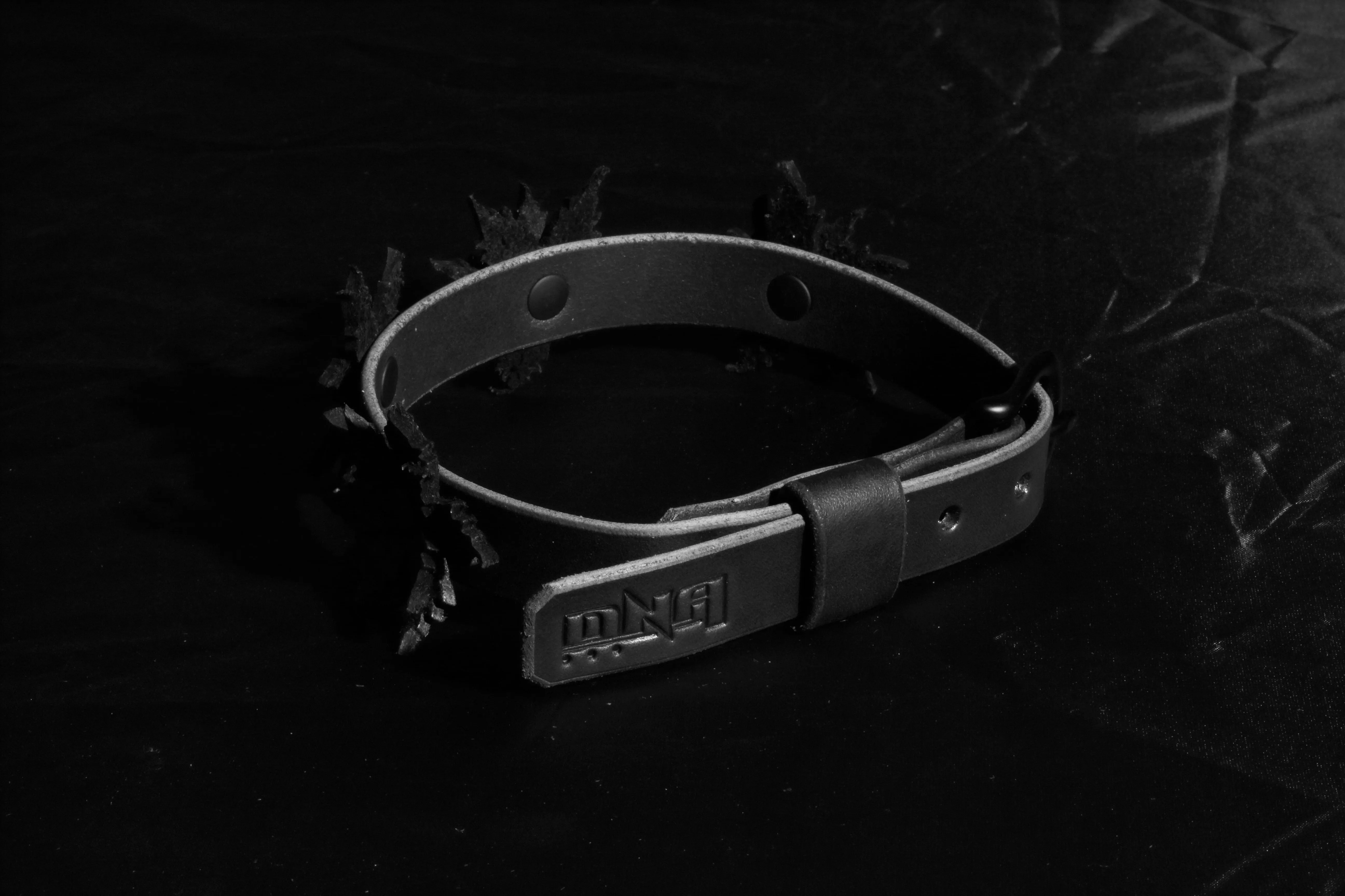 "Dark Nebula" Cosmic Petals Fashion Night Collar