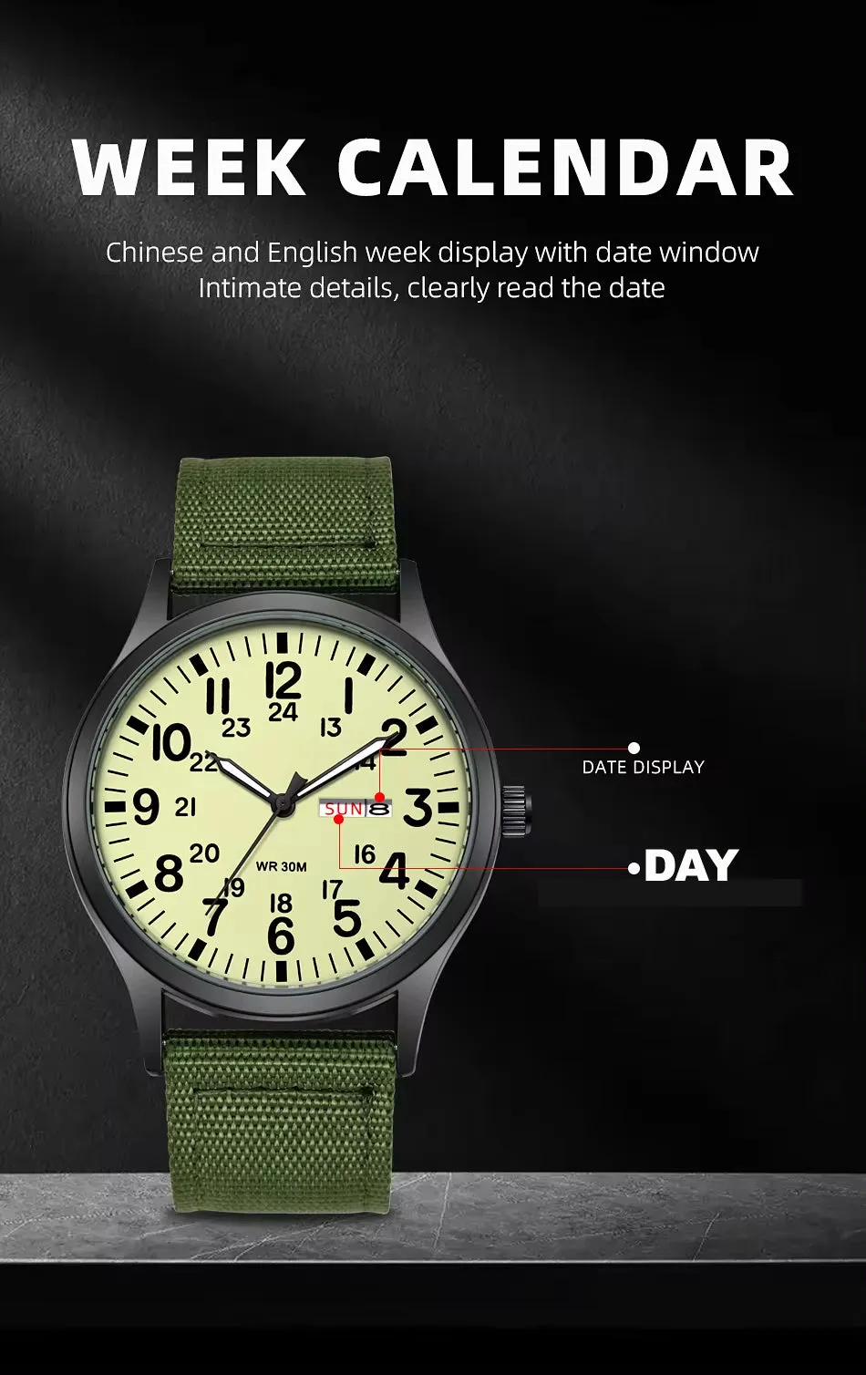 RECON GS2 Slimline Stainless Steel Military Watch - Day and Date Function including  NATO Watch Band