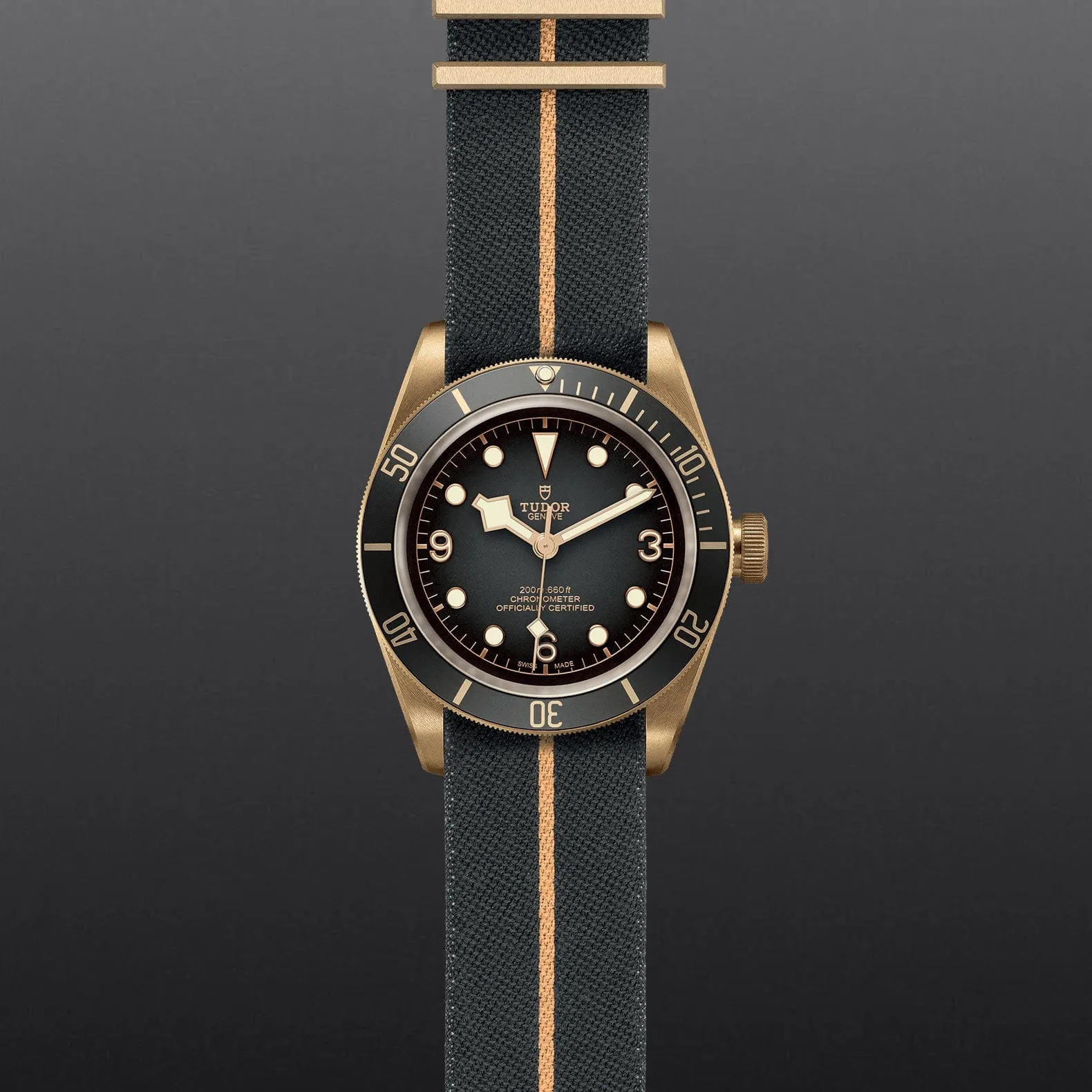 TUDOR Black Bay Bronze