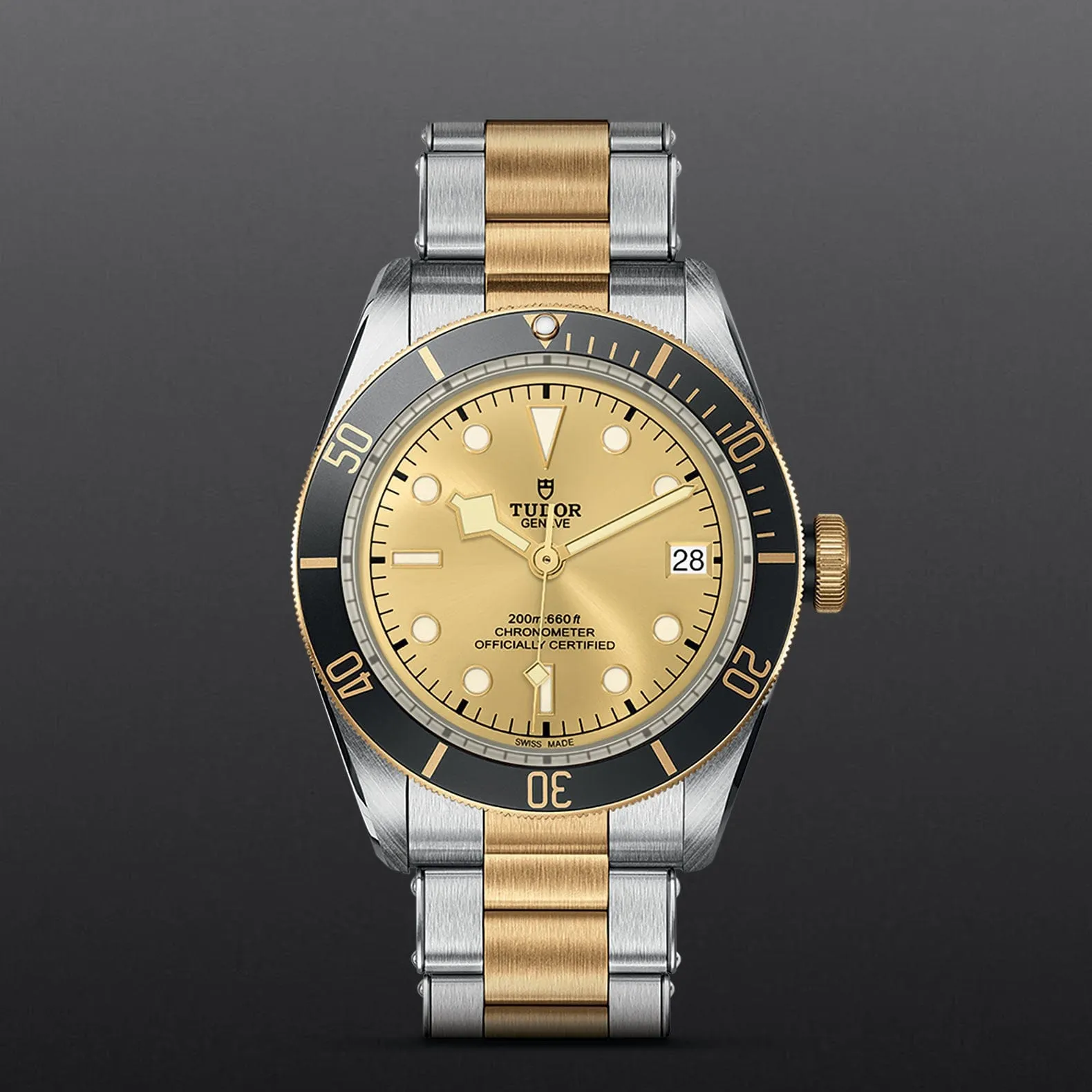TUDOR Black Bay S&G