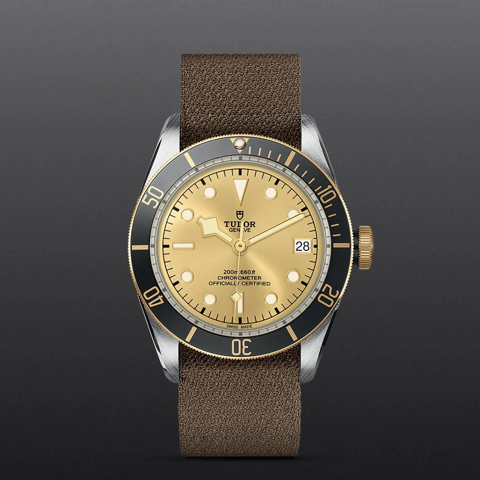 TUDOR Black Bay S&G