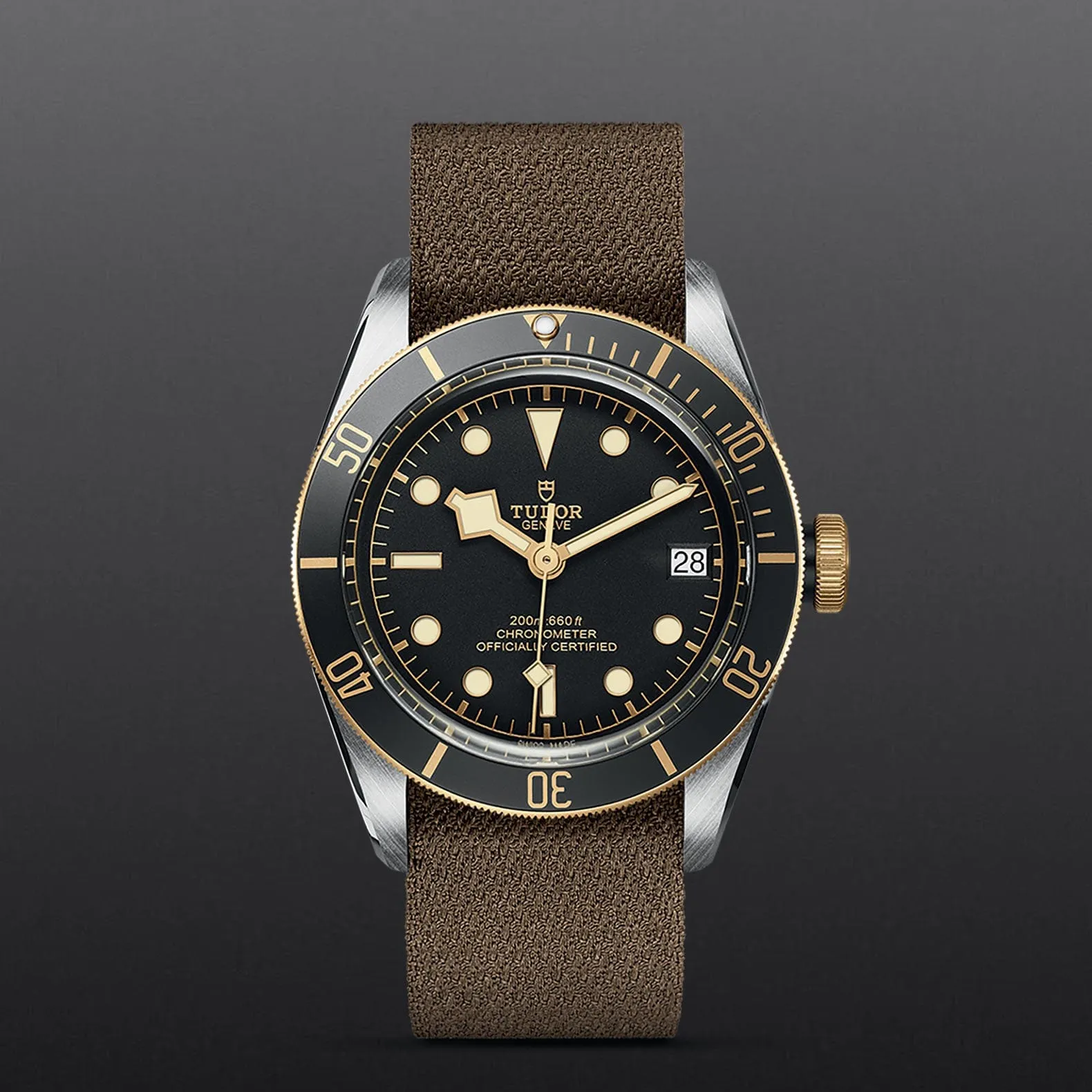 TUDOR Black Bay S&G