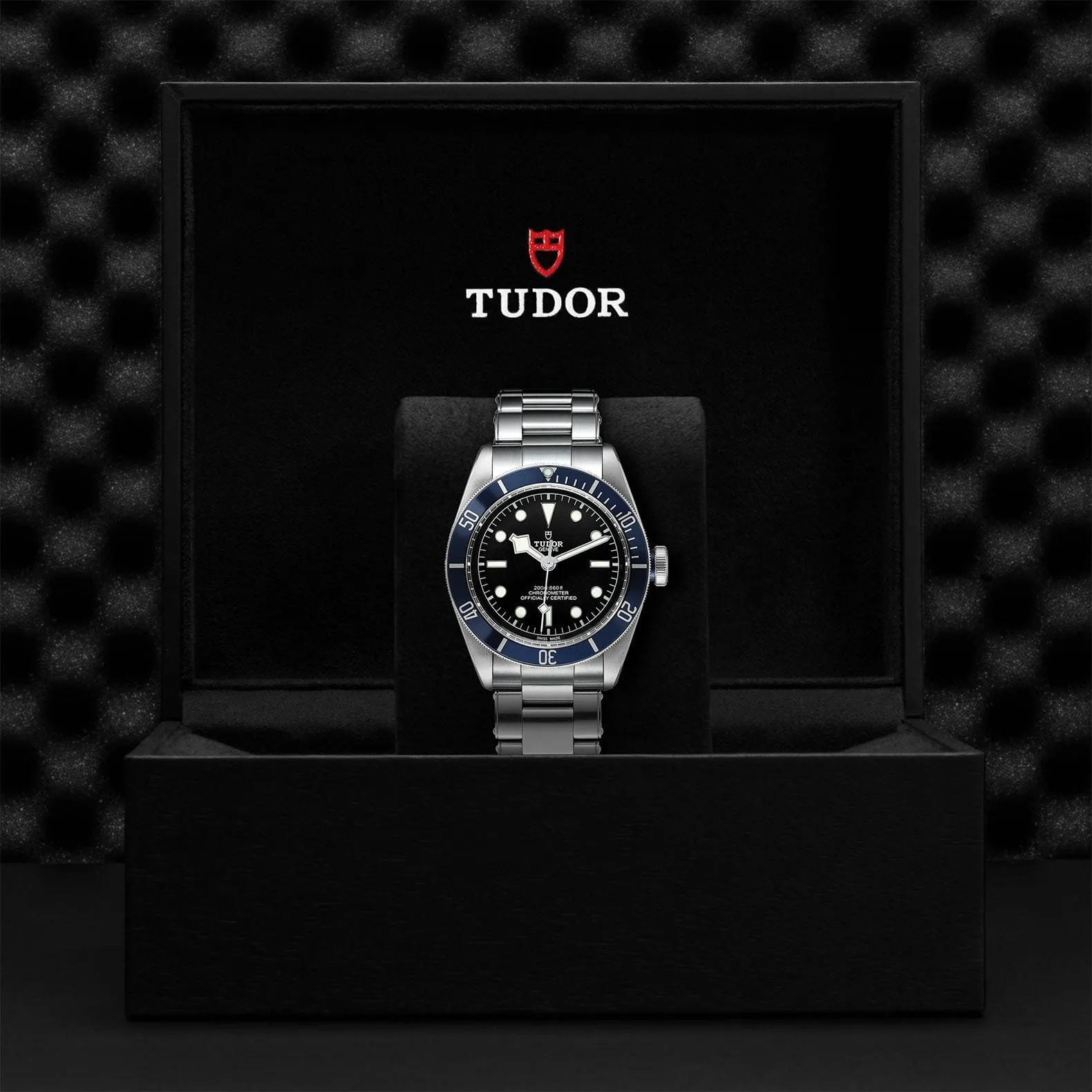 TUDOR BLACK BAY